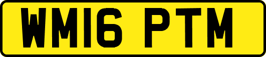 WM16PTM