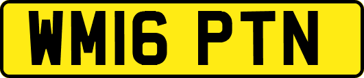 WM16PTN