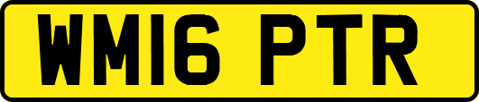 WM16PTR