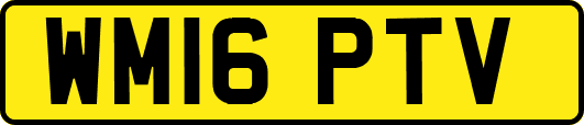WM16PTV