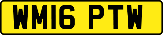 WM16PTW