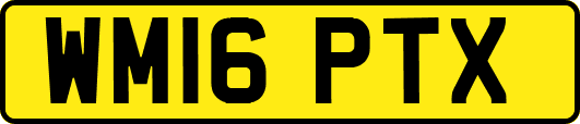WM16PTX