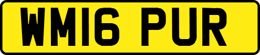 WM16PUR