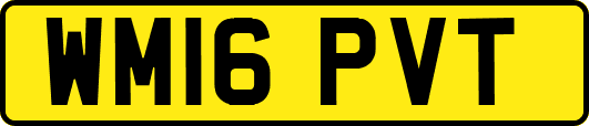 WM16PVT