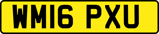WM16PXU