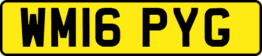 WM16PYG