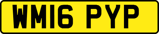 WM16PYP
