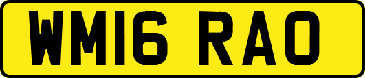WM16RAO