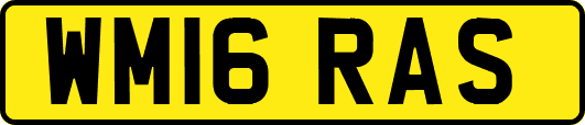 WM16RAS