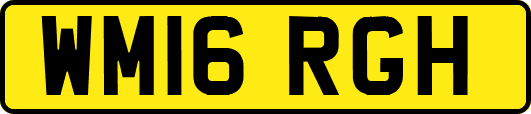 WM16RGH