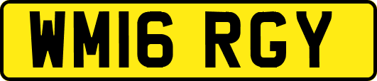 WM16RGY