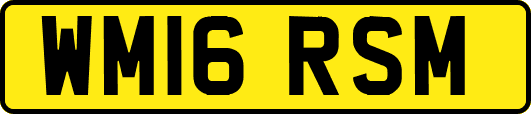 WM16RSM