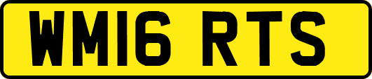 WM16RTS