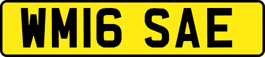 WM16SAE
