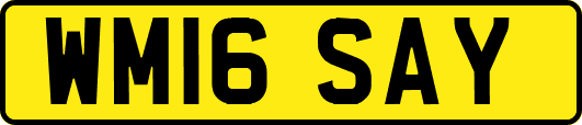 WM16SAY