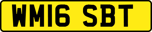 WM16SBT