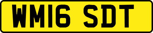 WM16SDT