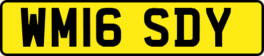 WM16SDY