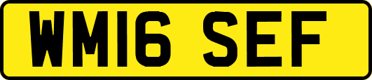 WM16SEF
