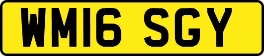 WM16SGY