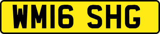 WM16SHG