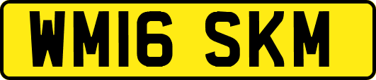 WM16SKM