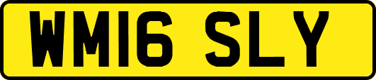 WM16SLY