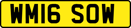 WM16SOW