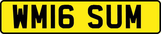 WM16SUM