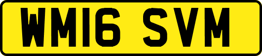 WM16SVM