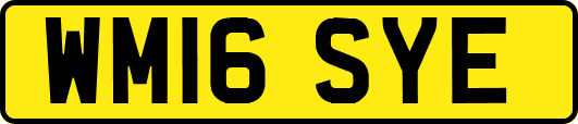 WM16SYE