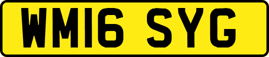 WM16SYG