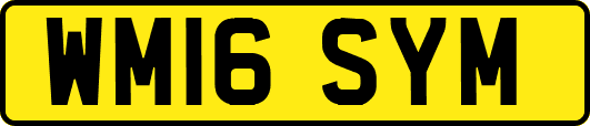 WM16SYM