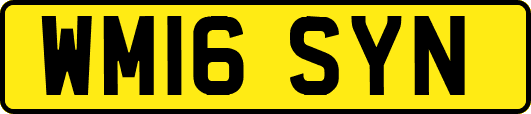 WM16SYN