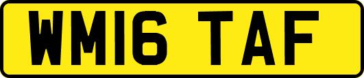 WM16TAF