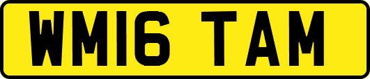 WM16TAM