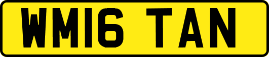 WM16TAN