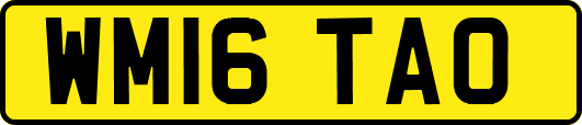 WM16TAO