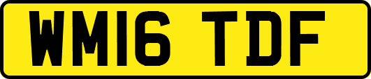 WM16TDF
