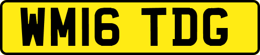 WM16TDG