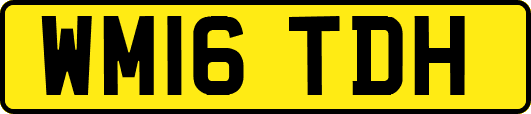 WM16TDH