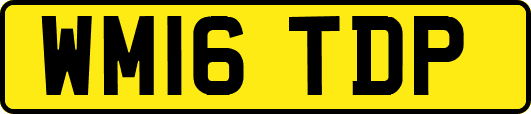 WM16TDP