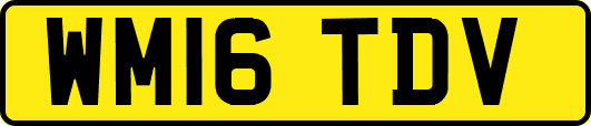 WM16TDV
