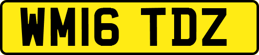 WM16TDZ