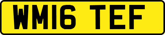 WM16TEF