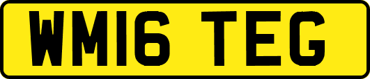 WM16TEG