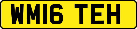 WM16TEH
