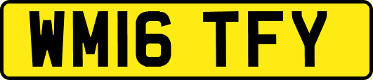 WM16TFY