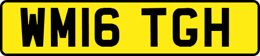 WM16TGH