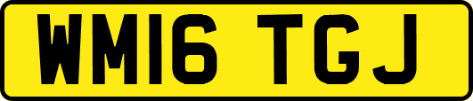 WM16TGJ